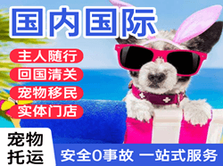 西宁曹家堡机场邮寄国际宠物托运 【国